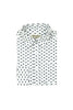 Appaman - The Pointer Standard Shirt